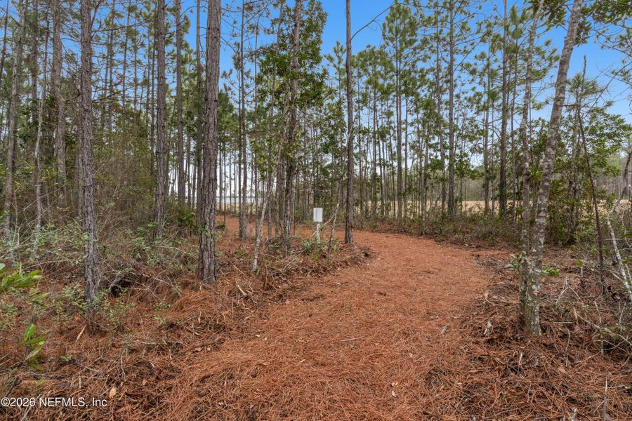 Natural landscape and outdoor views near Evergreen Island at Silverleaf - Executive in St. Augustine (Image 15).