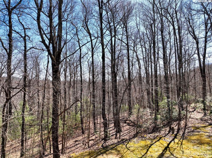 Image 16 of a home in .