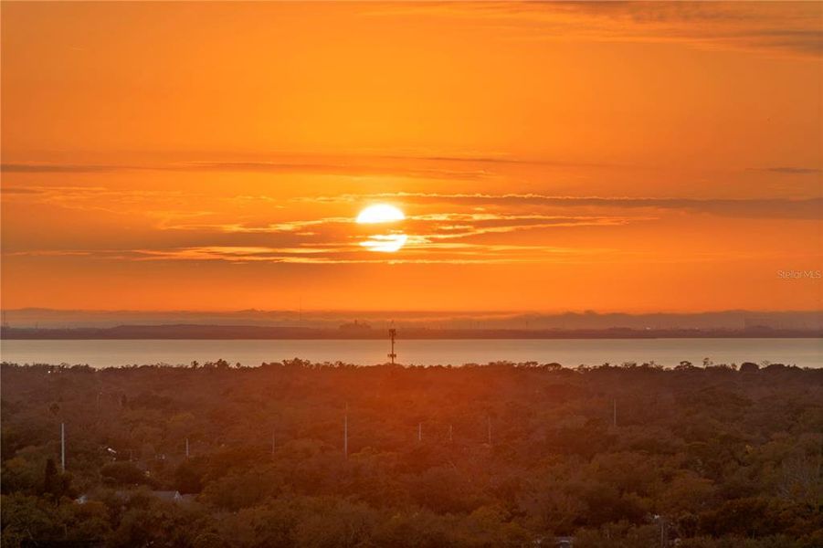 Natural landscape and outdoor views near The Ritz-Carlton Residences in Tampa (Image 47). Natural landscape and outdoor views near The Ritz-Carlton Residences in Tampa (Image 47).