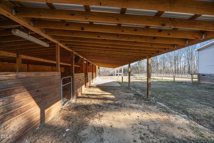 27-web-or-mls-IMG_9242