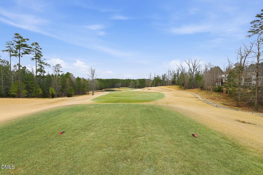 800 Golfers View Pittsboro NC-large-079-