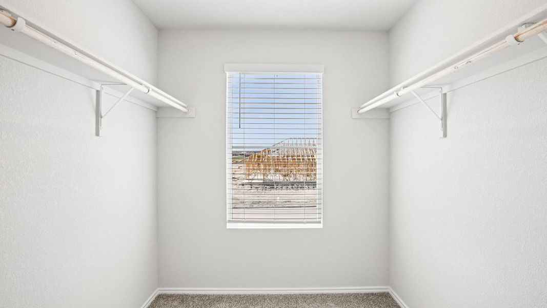 Organized storage space featuring neutral-toned walls, a window with blinds, and durable carpeting