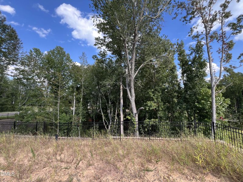 Treelined Privacy