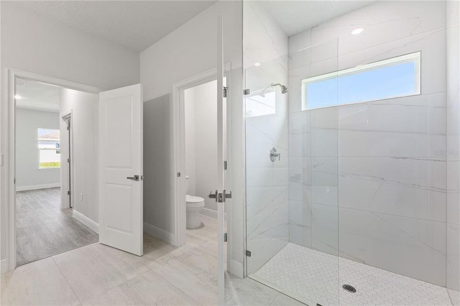 Furnished interior view inside a new home in , Ocala (Image 12).