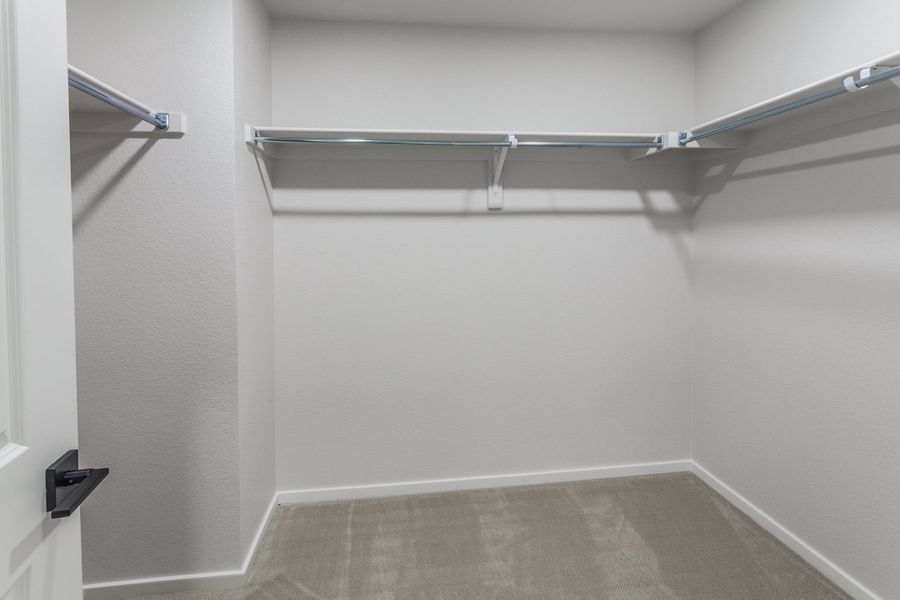 Spacious, unfurnished interior of a new home in Trailside, Timnath (Image 17).