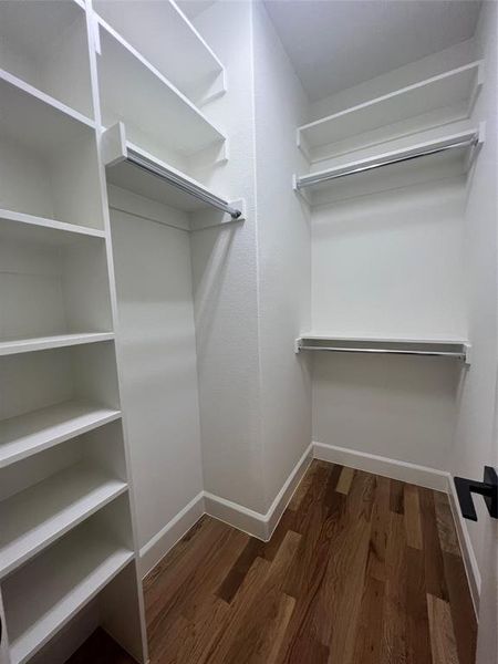 Walk in closet featuring dark hardwood / wood-style flooring