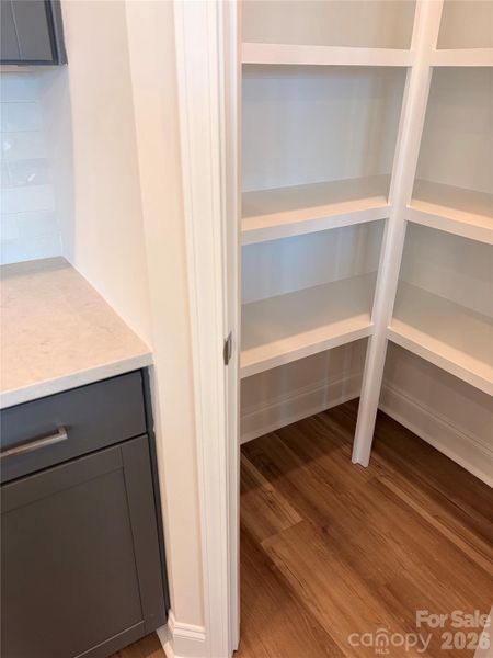 Close-up of interior finishes inside a home in Encore at Harmony, Harrisburg (Image 29).