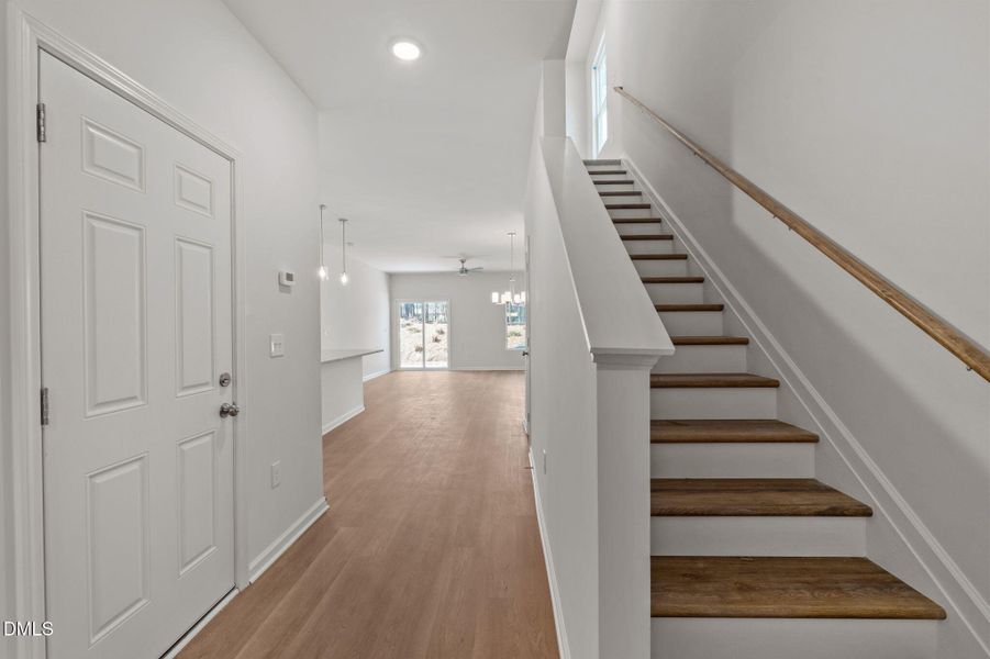 13-web-or-mls-P1112631 13-web-or-mls-P1112631