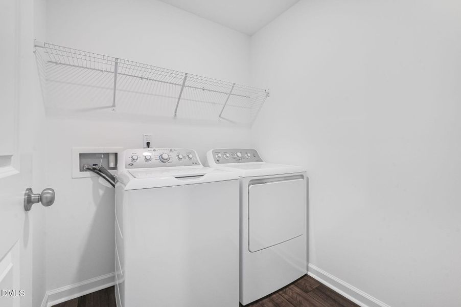 SUN_CaitlinCrossing_Pic_Cameron-27