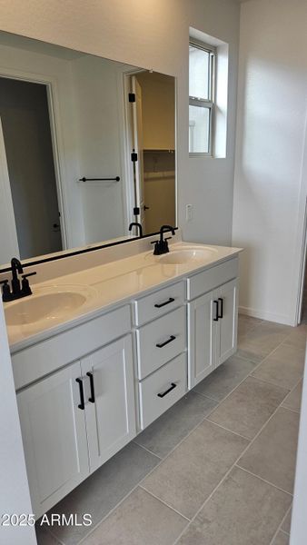 Lot 216 Primary Bathroom Lot 216 Primary Bathroom