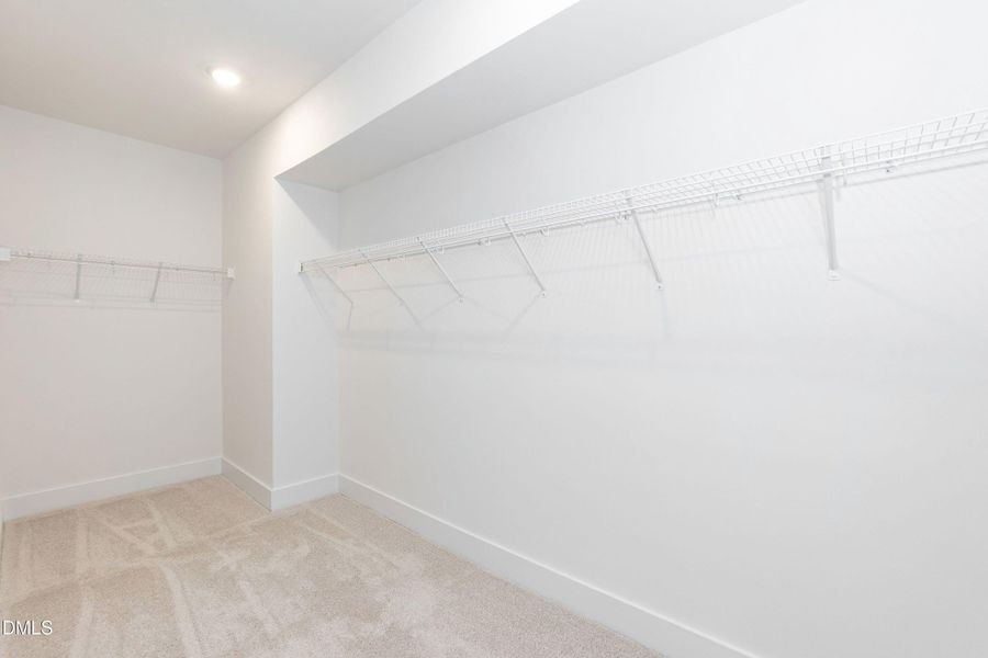 Basement Primary Closet 01