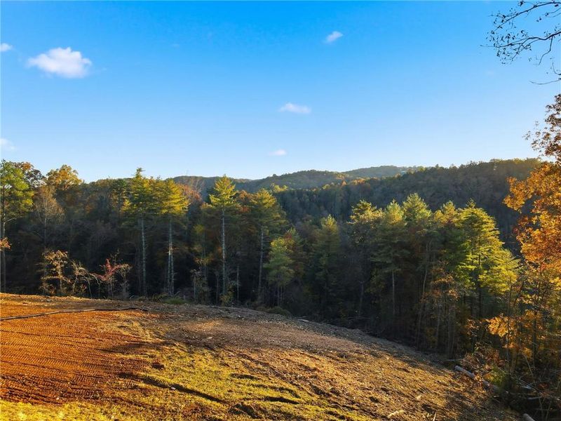 Natural landscape and outdoor views near  in Ranger (Image 35).