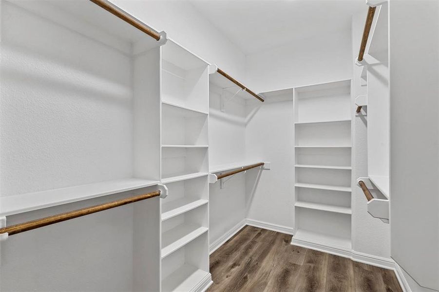 Spacious closet with dark wood-type flooring