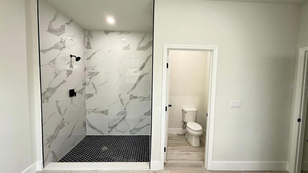 Furnished interior view inside a new home in , Ocala (Image 13). Furnished interior view inside a new home in , Ocala (Image 13).