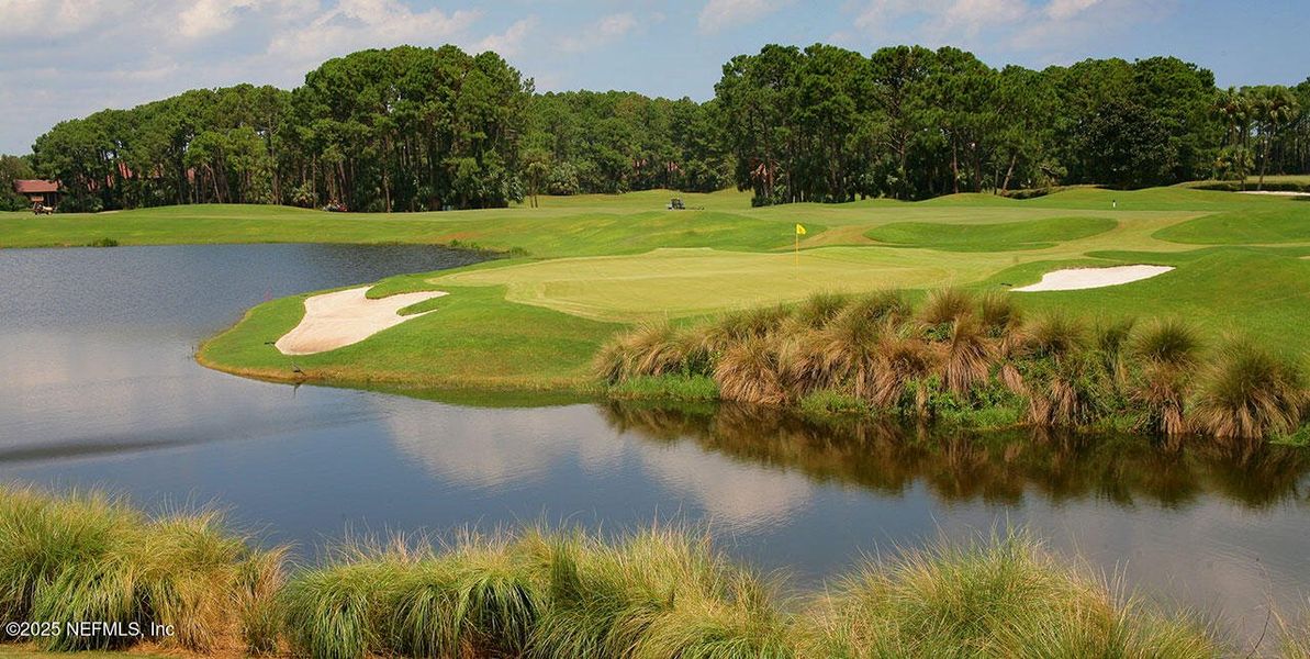 Natural landscape and outdoor views near  in Ponte Vedra Beach (Image 41).