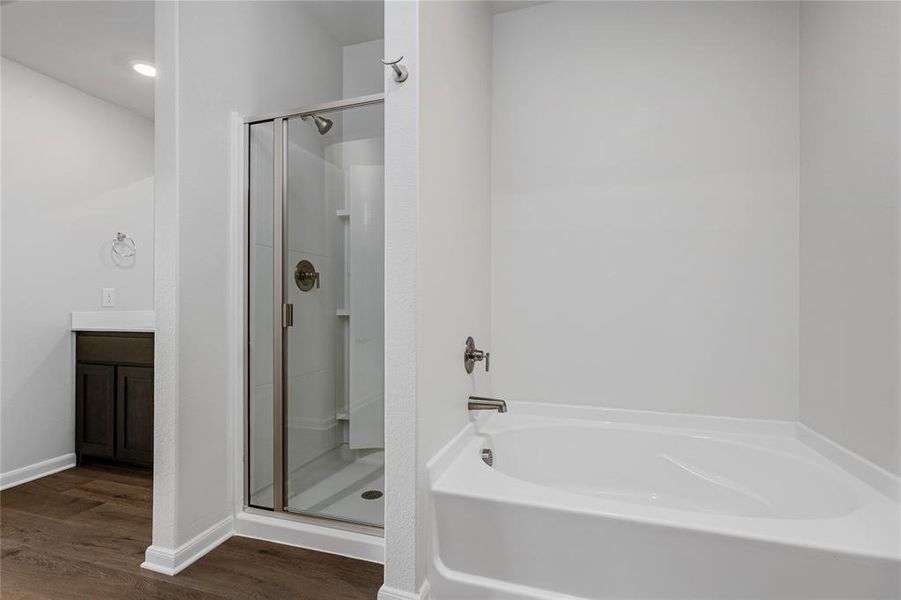 Bathroom featuring vanity, a garden tub, a stall shower, and dark wood-style floors