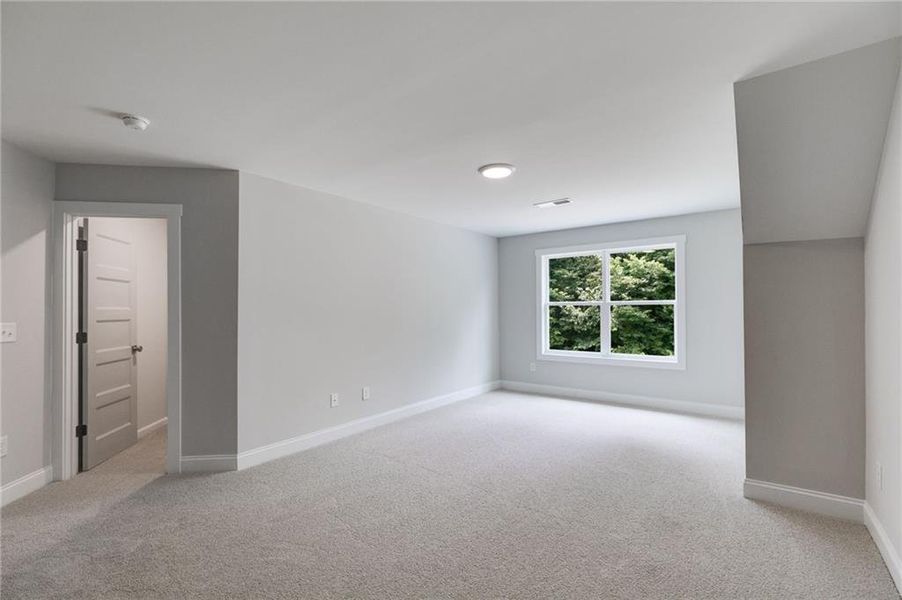 Spacious, unfurnished interior of a new home in The Meadows at Lake Circle, Buchanan (Image 41).