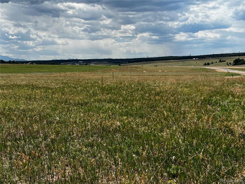 Pikes Peak Views from the lot