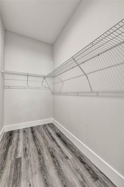 Spacious, unfurnished interior of a new home in , Tampa (Image 31).