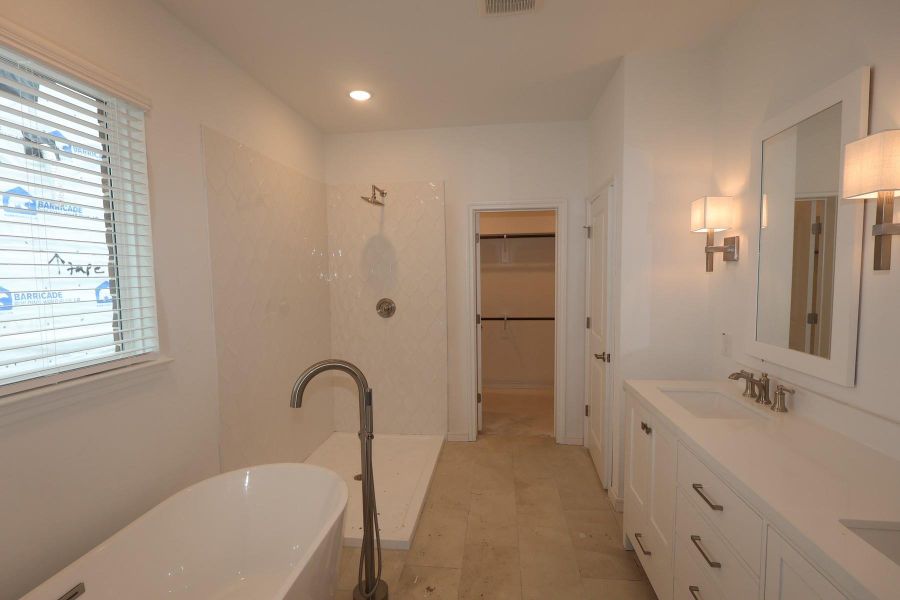 Primary bath - still under construction!