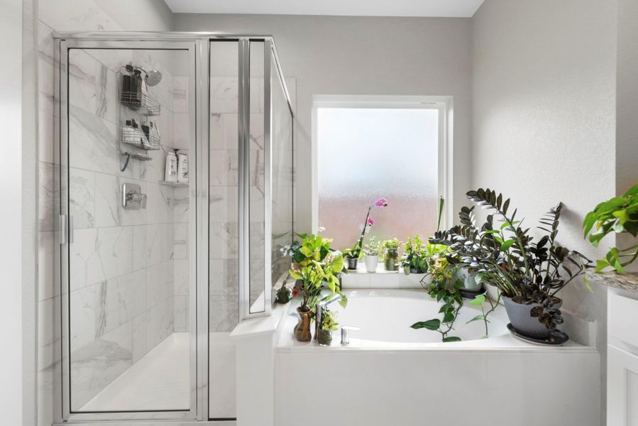 Furnished interior view inside a new home in Edgewood Village, Houston (Image 36). Furnished interior view inside a new home in Edgewood Village, Houston (Image 36).