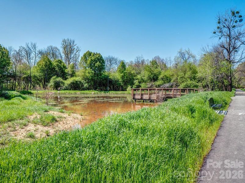 Natural landscape and outdoor views near  in Lancaster (Image 31).