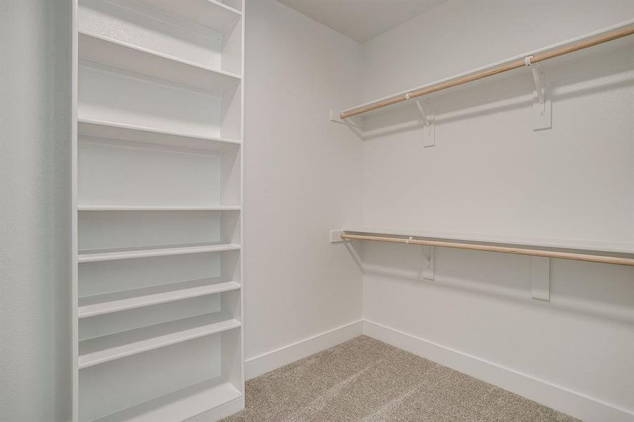Walk in closet featuring light carpet Walk in closet featuring light carpet