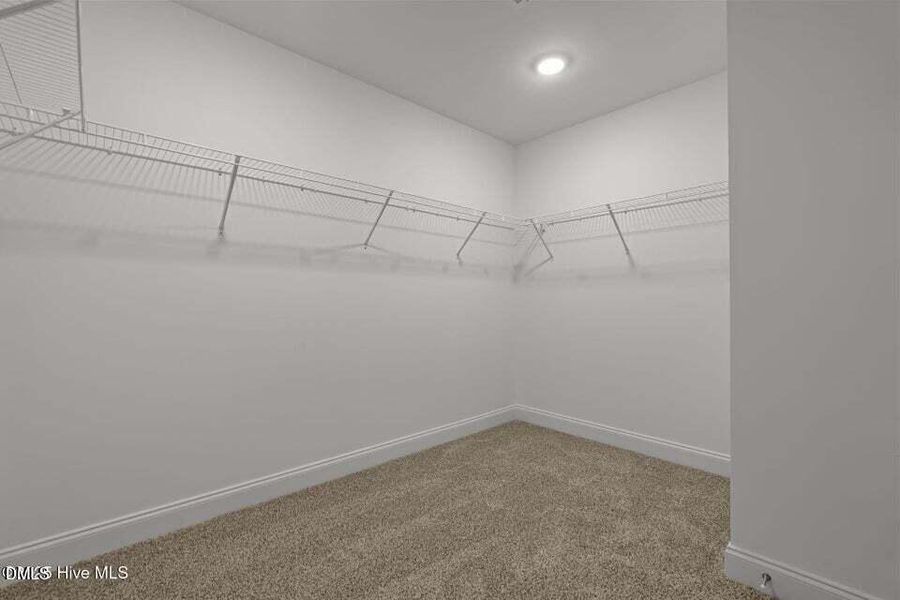 1945 Cranes Creek Rd