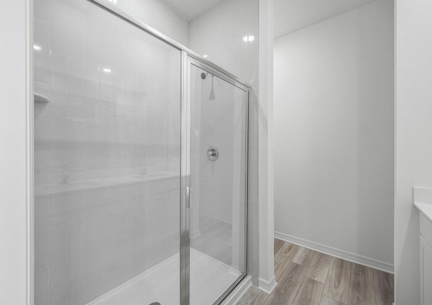 Step-in shower in master bathroom