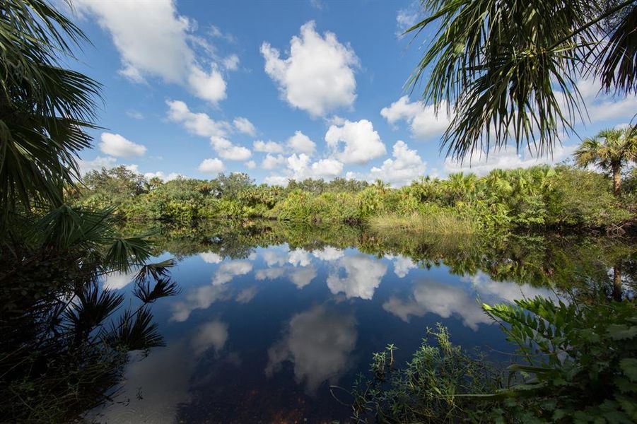 Natural landscape and outdoor views near  in North Port (Image 42).