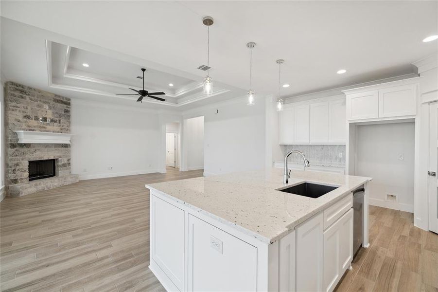 Kitchen featuring sink, a center island with sink, light wood-type flooring, and a tray ceiling