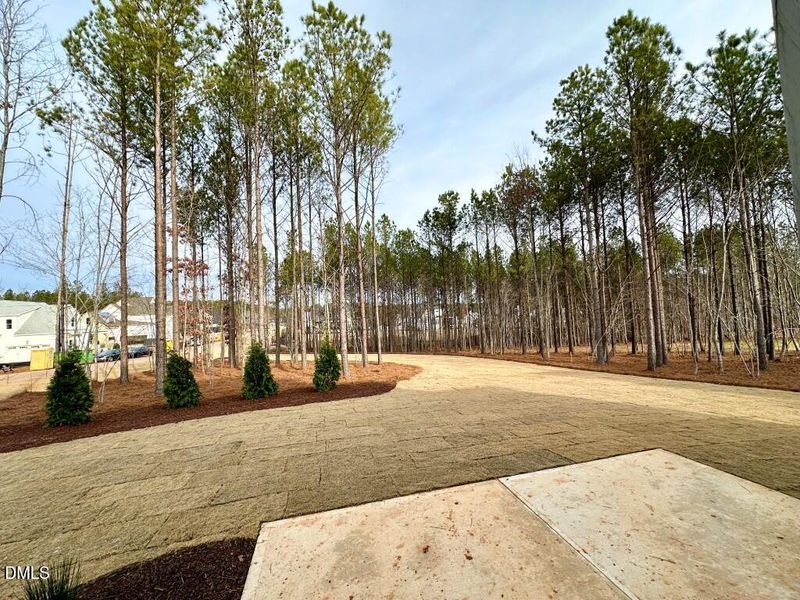 Photo Dec 17 2025, 9 11 27 AM (Medium)