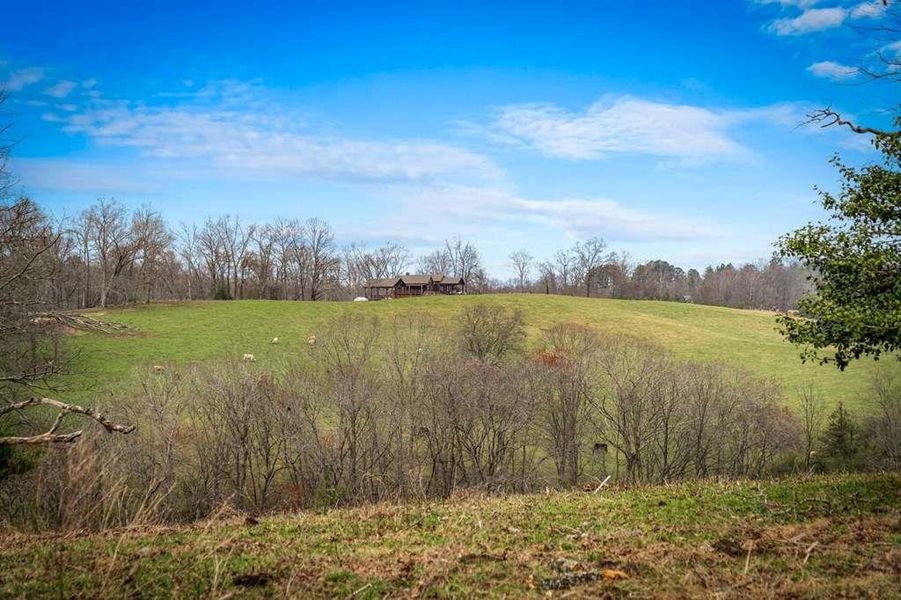 Natural landscape and outdoor views near in Blue Ridge (Image 33). Natural landscape and outdoor views near in Blue Ridge (Image 33).