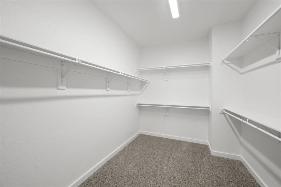 4619 Haws Trail_ 2572_Onyx- Primary Suite]-6