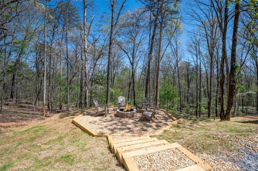 Natural landscape and outdoor views near  in Mineral Bluff (Image 44).