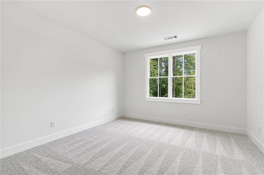 Spacious, unfurnished interior of a new home in Malone's Pond, Ball Ground (Image 51).