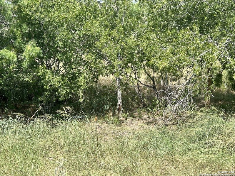 Natural landscape and outdoor views near in Leming (Image 19). Natural landscape and outdoor views near in Leming (Image 19).