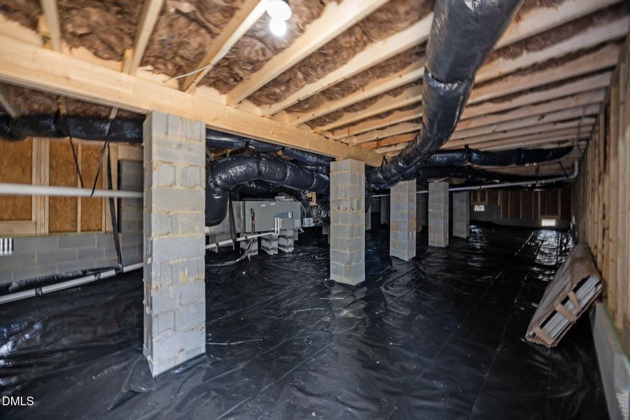 38-web-or-mls-IMG_3159