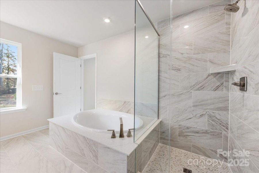 Large Semi-Frameless Walk-In Shower and Gorgeous Tiled Tub.