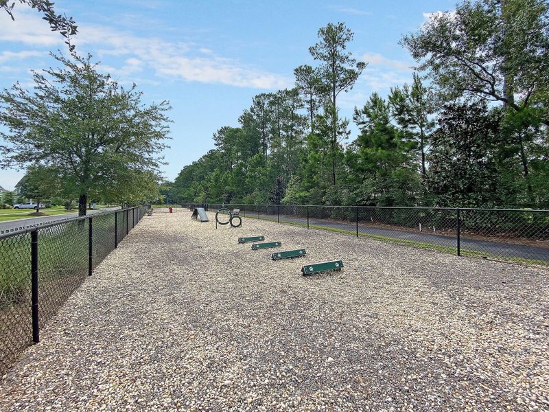 Community amenities in Carnes Crossroads, Summerville (Image 45).