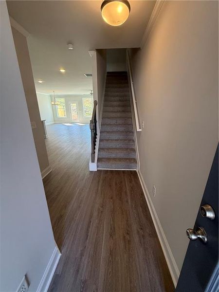 Spacious, unfurnished interior of a new home in Somerset at Riverbrook, Gainesville (Image 10).