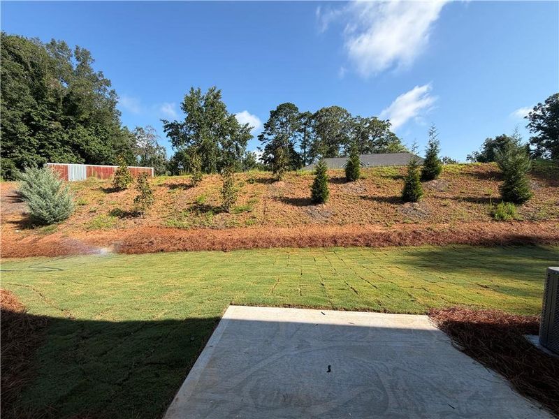 Natural landscape and outdoor views near in Dawsonville (Image 46). Natural landscape and outdoor views near in Dawsonville (Image 46).