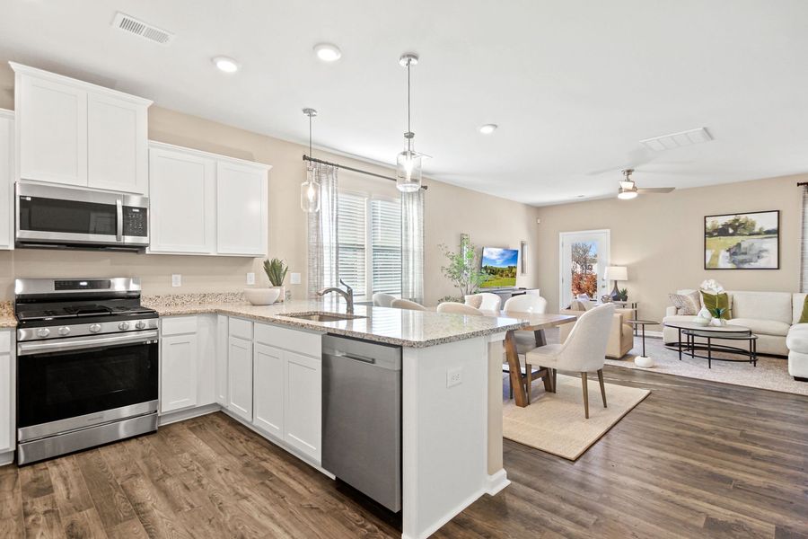 Furnished interior view inside a new home in Zanes Creek, Inman (Image 3).