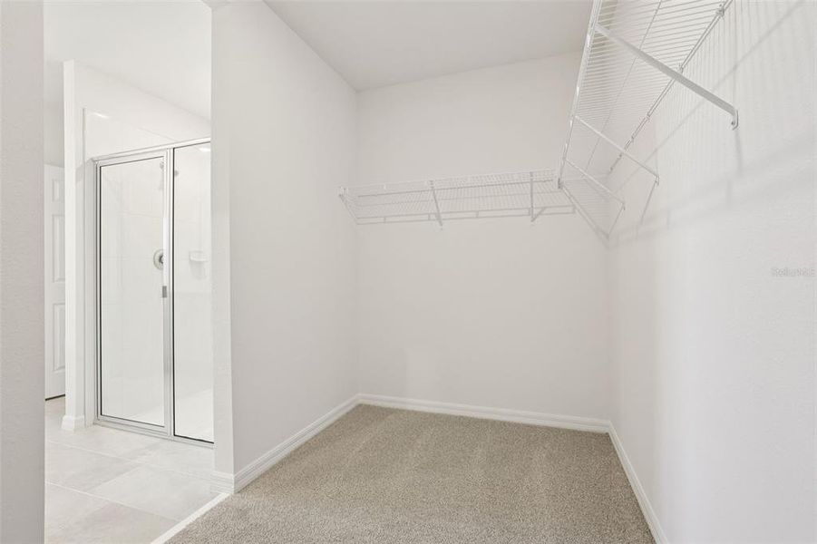 Spacious, unfurnished interior of a new home in The Meadow at Crossprairie, St. Cloud (Image 22).