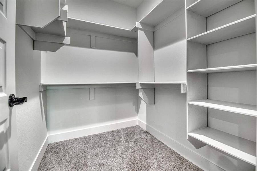 Walk in closet with light colored carpet