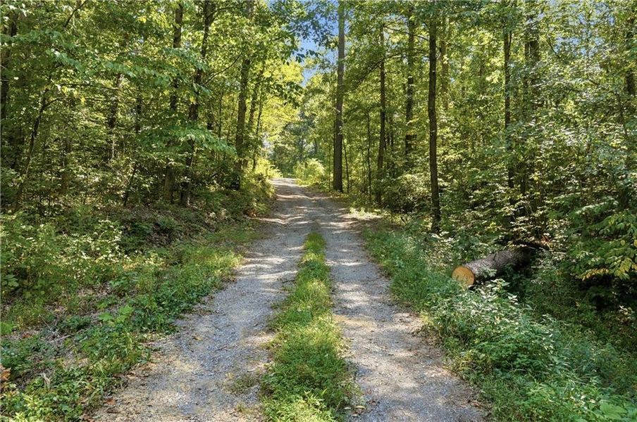 Natural landscape and outdoor views near  in Chatsworth (Image 23).