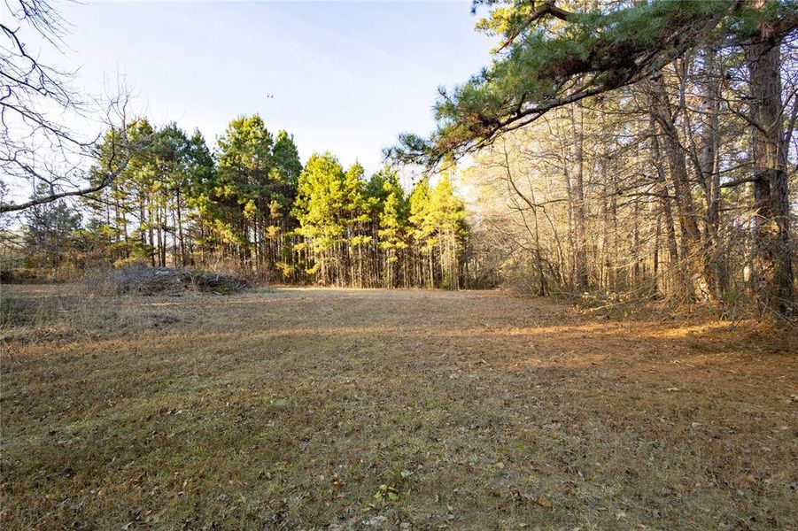 Natural landscape and outdoor views near  in Mineola (Image 30).