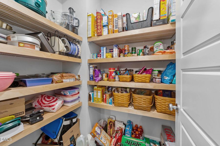 34-web-or-mls-VB4A4011