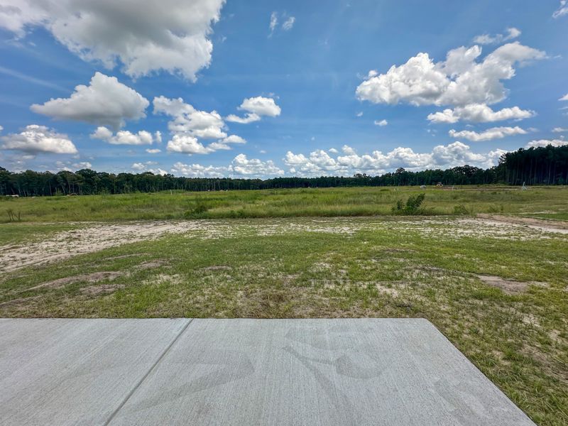 Natural landscape and outdoor views near Tranquil South in Hinesville (Image 18). Natural landscape and outdoor views near Tranquil South in Hinesville (Image 18).