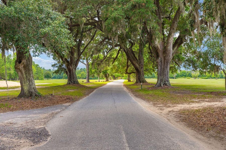 Natural landscape and outdoor views near  in Moncks Corner (Image 33).